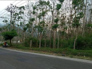 Dijual Tanah dan Kebon Jati Strategis Murah Sekali di Mainroad Cijapati Garut