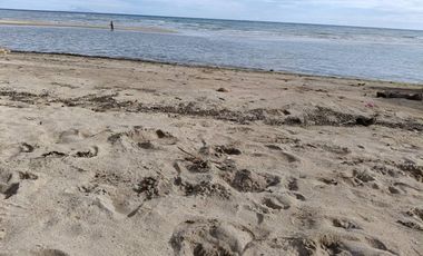 2,779sqm clean title beach lot with building in Lila Bohol