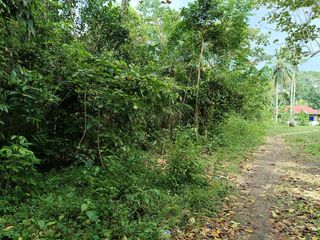 833sqm clean title lot for sale in Bil-isan Panglao Bohol