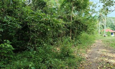 833sqm clean title lot for sale in Bil-isan Panglao Bohol