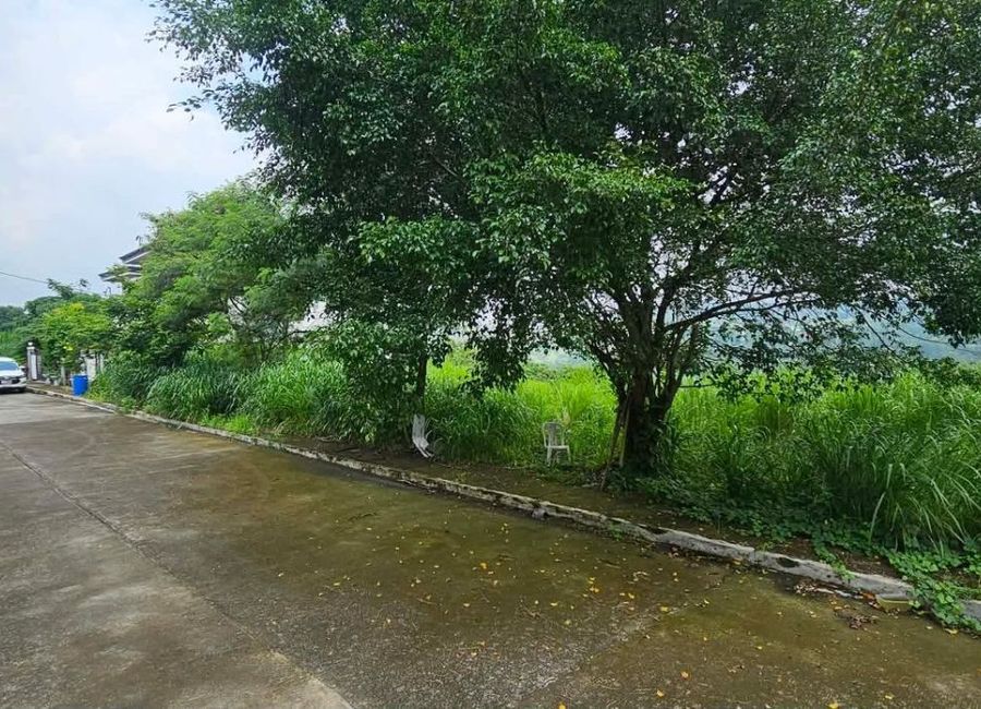 M. L. Quezon Street, San Roque, Antipolo, Rizal
