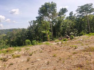 Tanah Bantul Dekat Pasar Pleret