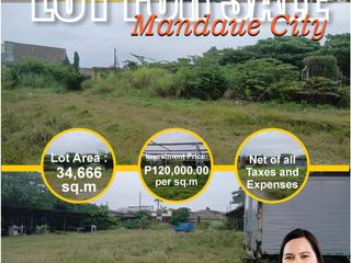 FOR SALE!! LARGE-SCALE COMMERCIAL LOT IN MANDAUE CITY!
