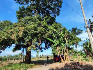 Farm Lot Installment no Down Payment