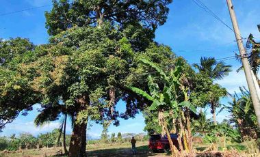 Farm Lot Installment no Down Payment