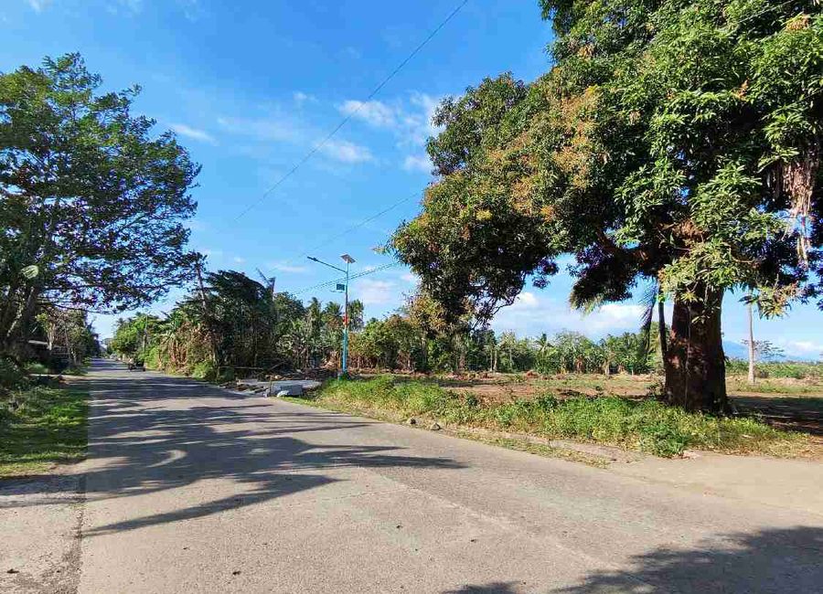 Marcial C. Punzalan Jr. Highway, San Juan, Tiaong, 2nd District, Quezon image 2