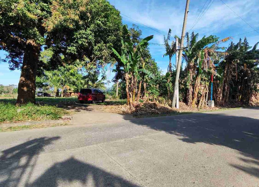 Marcial C. Punzalan Jr. Highway, San Juan, Tiaong, 2nd District, Quezon image 3