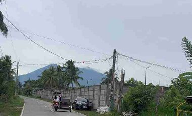 Mini Farm Lot Installment in Sariaya Quezon