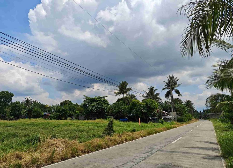 Concepcion Palasan, Sariaya, 2nd District, Quezon image 2
