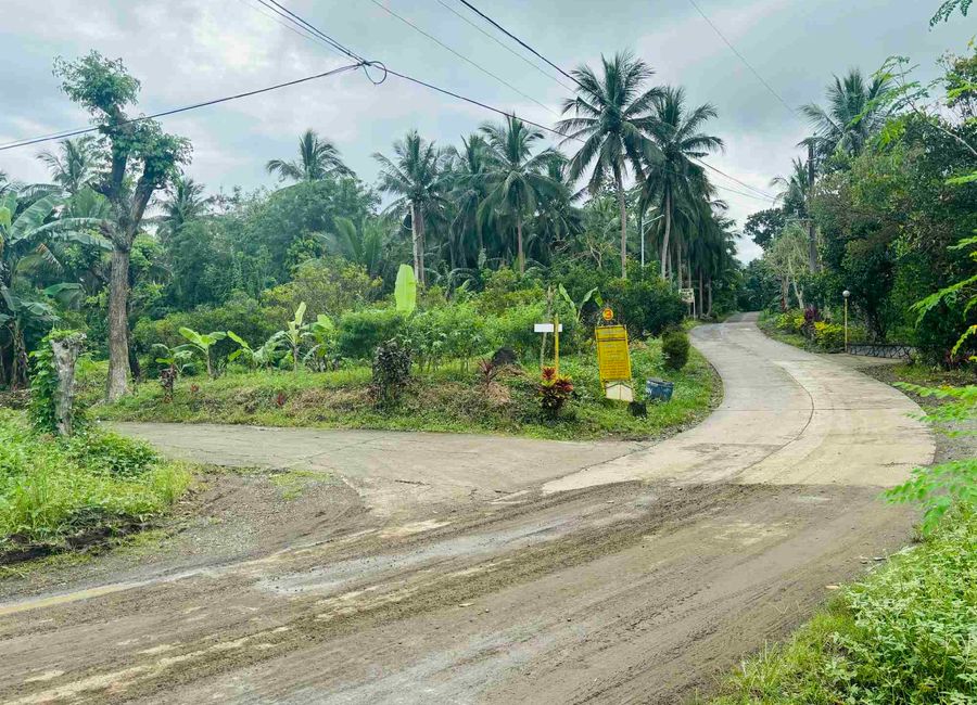 Bagong Niing, Matipunso, San Antonio, 2nd District, Quezon image 2
