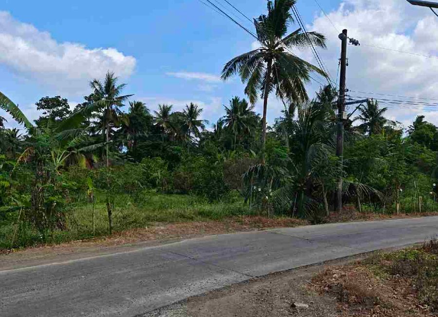 Bagong Niing, Matipunso, San Antonio, 2nd District, Quezon image 3