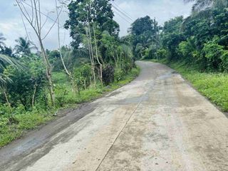 Farm Lot In San Antonio Quezon