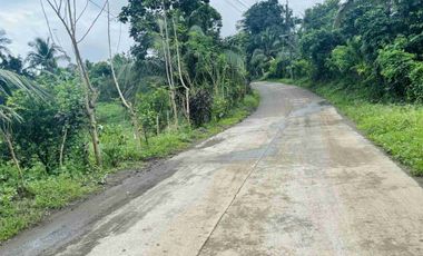 Farm Lot In San Antonio Quezon