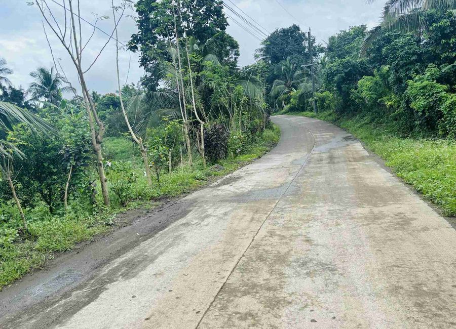 Bagong Niing, Matipunso, San Antonio, 2nd District, Quezon