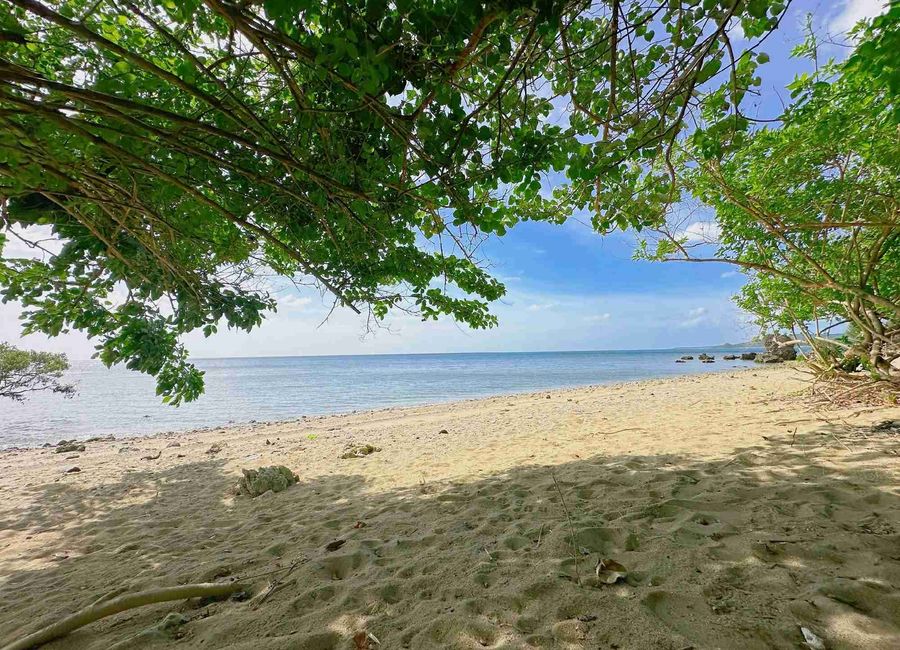 Don Juan Vercelos, San Francisco, Quezon image 2