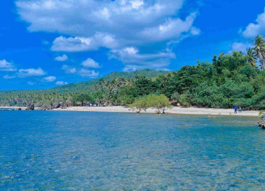 Don Juan Vercelos, San Francisco, Quezon image 3