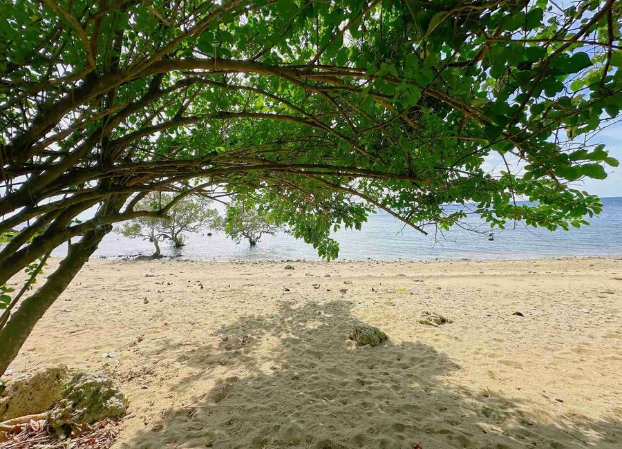 Don Juan Vercelos, San Francisco, Quezon