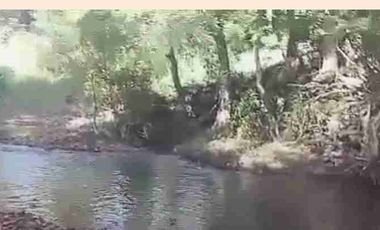 Agricultural land with River near Busuanga International Airport Palawan