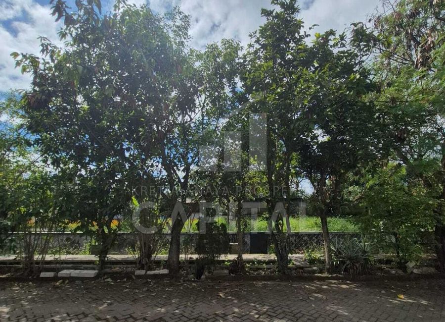 place photo 18