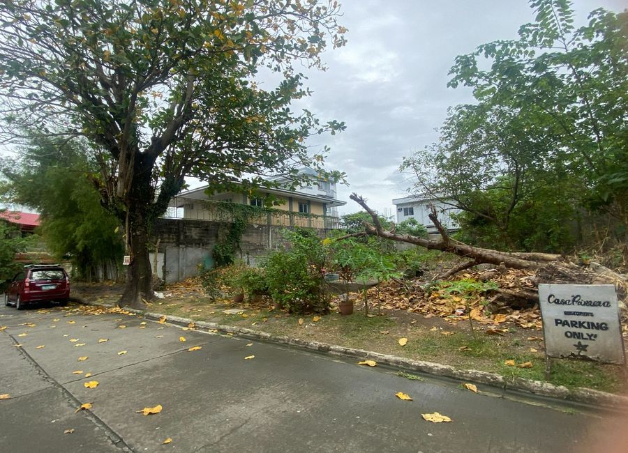Nayong Maharlika, Pansol, Calamba, Laguna image 3