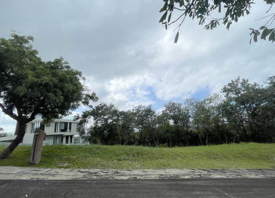 Spine Road, Ayala Greenfield Estates, Maunong, Calamba, Laguna image 2