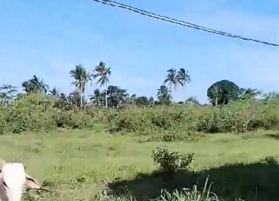 Luksuhin-Mangas Road, Purok 2, Mangas I, Esperanza Ibaba, Alfonso, Cavite