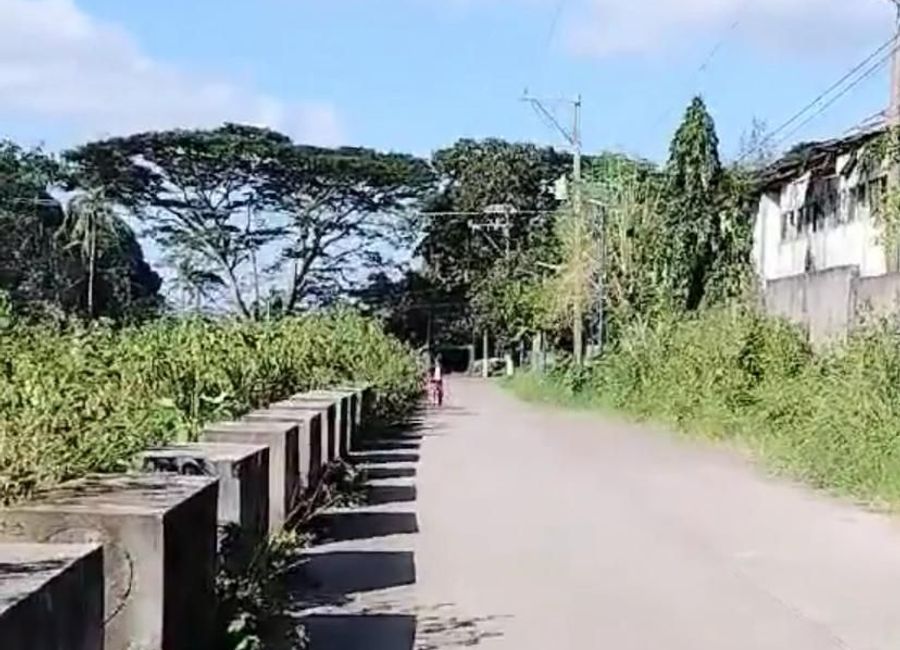 Luksuhin-Mangas Road, Purok 2, Mangas I, Esperanza Ibaba, Alfonso, Cavite image 3
