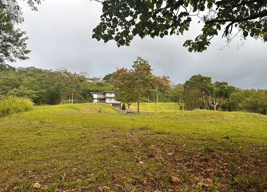 Spine Road, Ayala Greenfield Estates, Maunong, Calamba, Laguna image 2