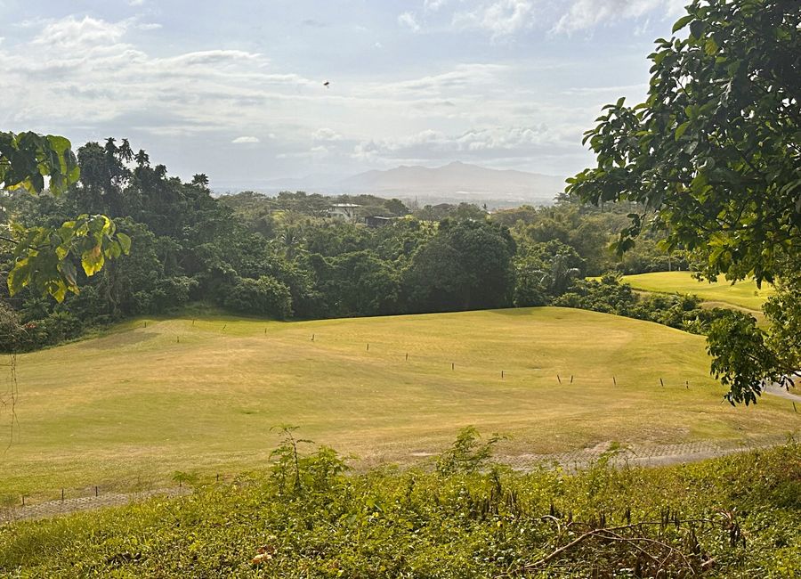 Spine Road, Ayala Greenfield Estates, Maunong, Calamba, Laguna image 3
