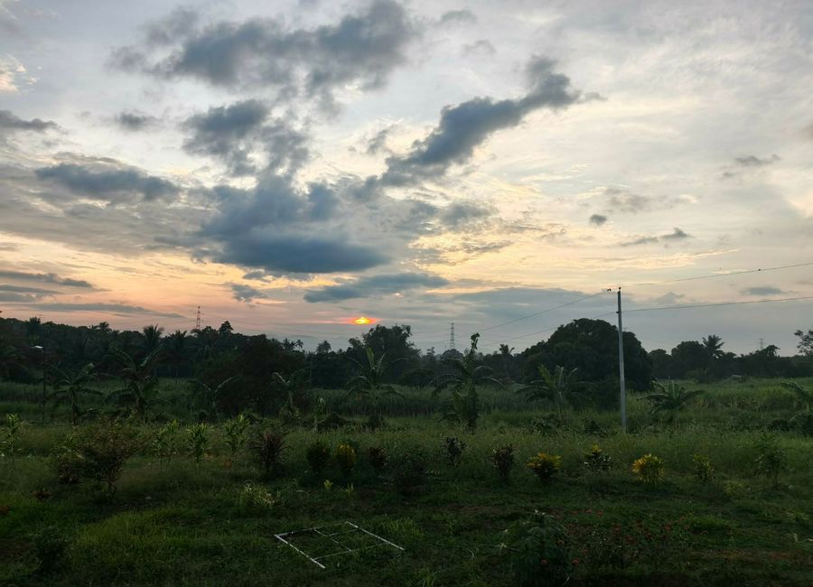 Gomez Street, Burgos, Tuy, Batangas