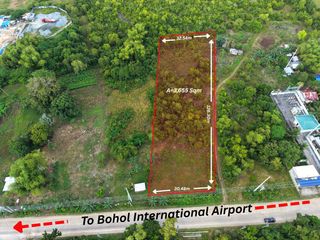 Lot for Sale - 3,655 sqm 30m Frontage Along Airport Highway - Panglao