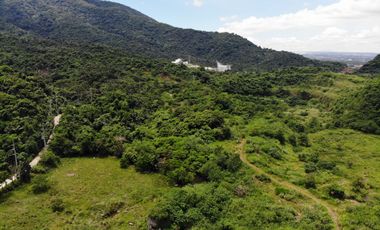 Redefine Industry: 26.8 Hectares of Opportunity in Laguna