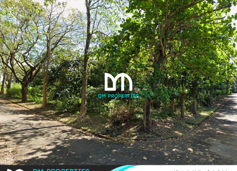 Santana Drive, Victoria Valley, Dela Paz, Antipolo, Rizal image 2