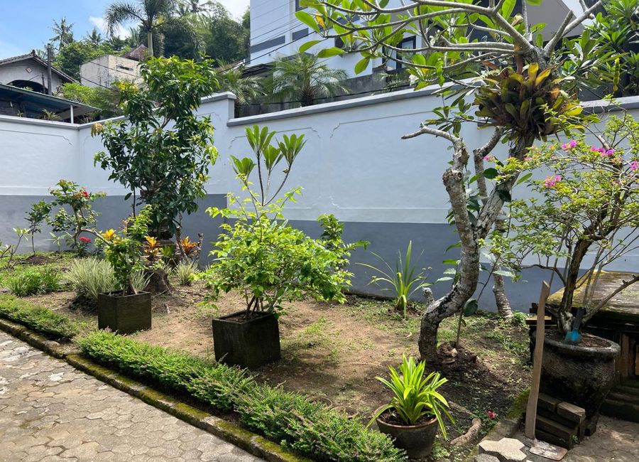 place photo 23