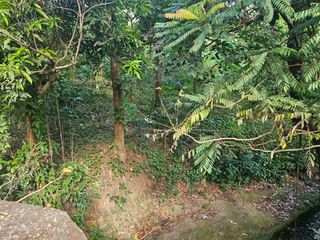AGRICULTURAL LOT FOR SALE ALONG CONCRETE ROAD, ALFONSO, CAVITE