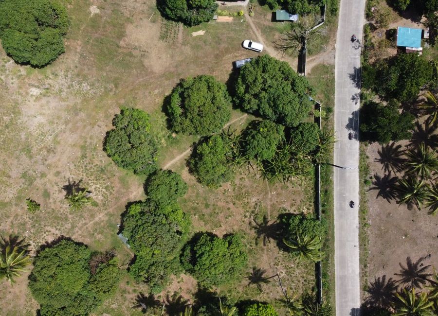 place photo 11