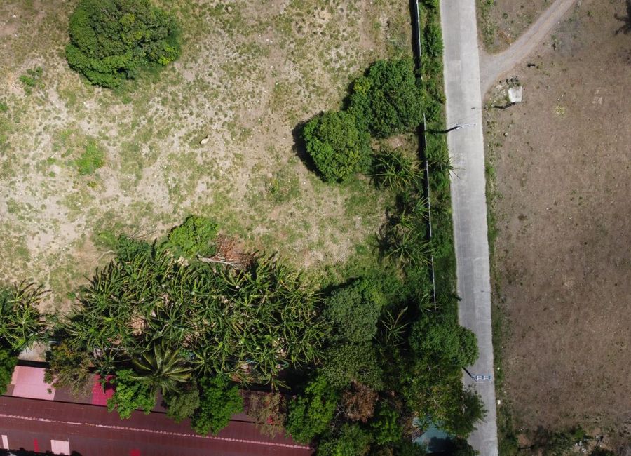 place photo 23