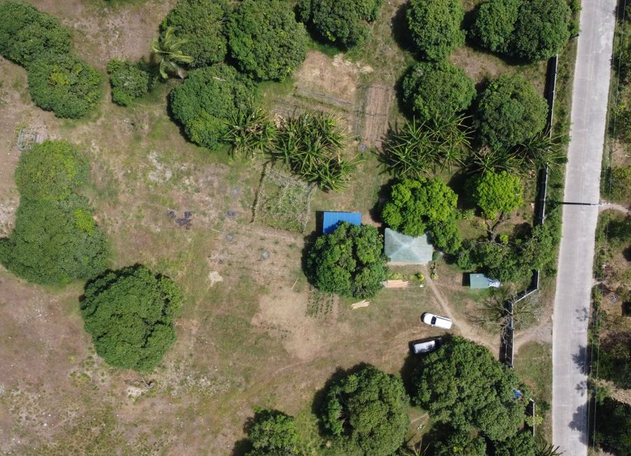 place photo 18