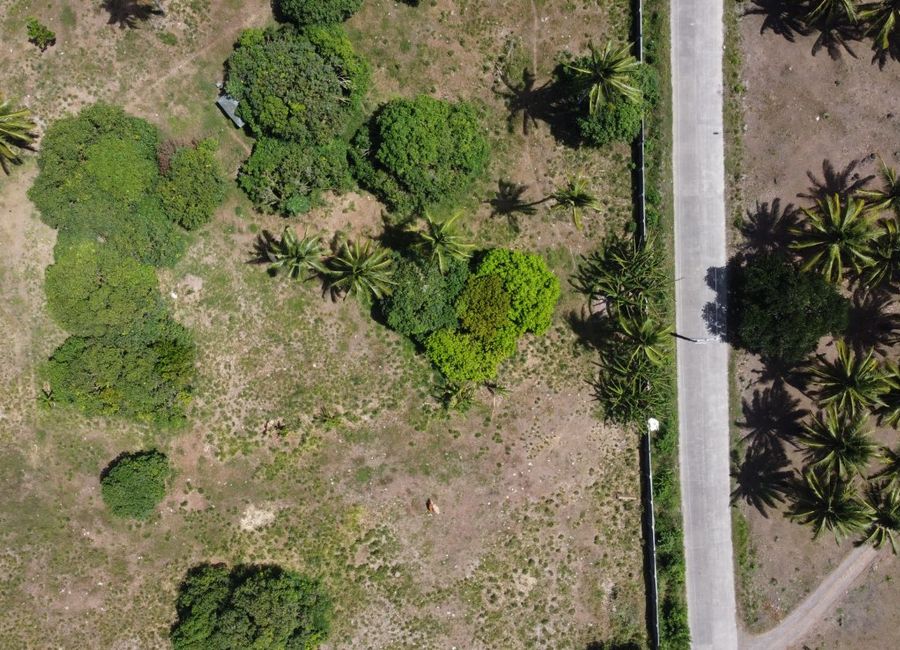 place photo 20