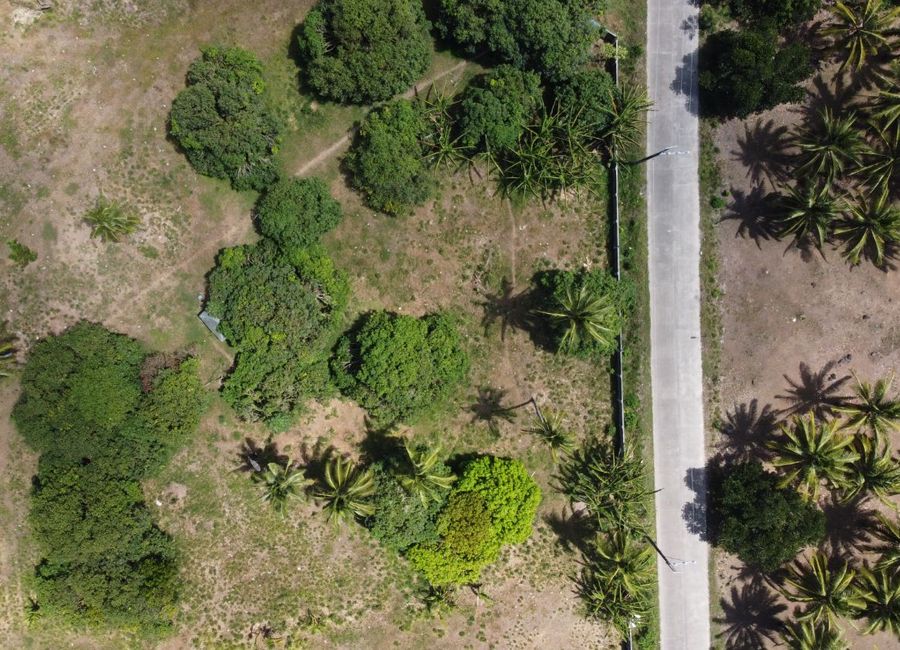 place photo 21