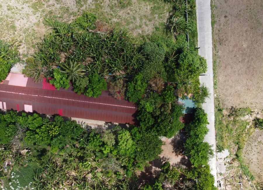 place photo 22