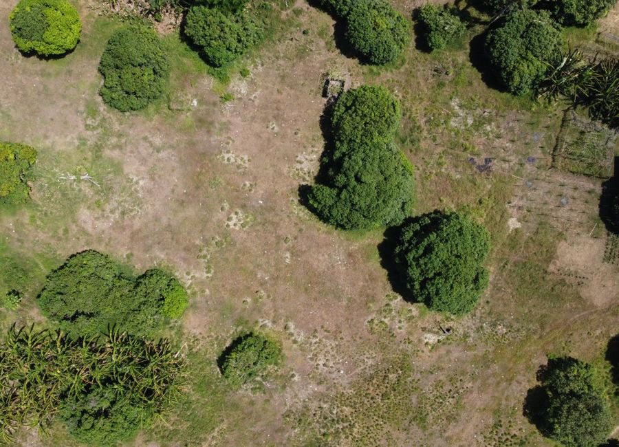place photo 26