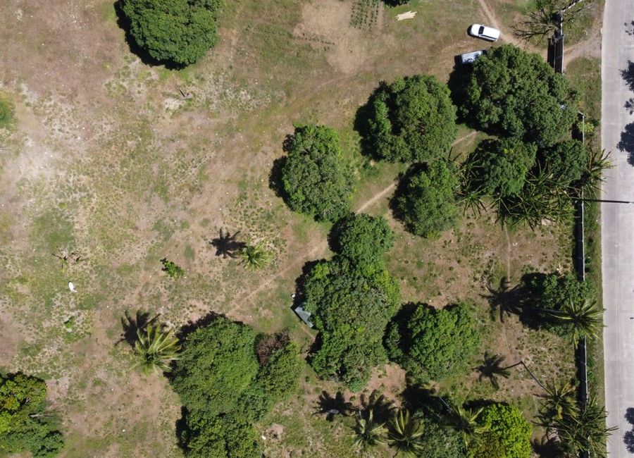 place photo 29