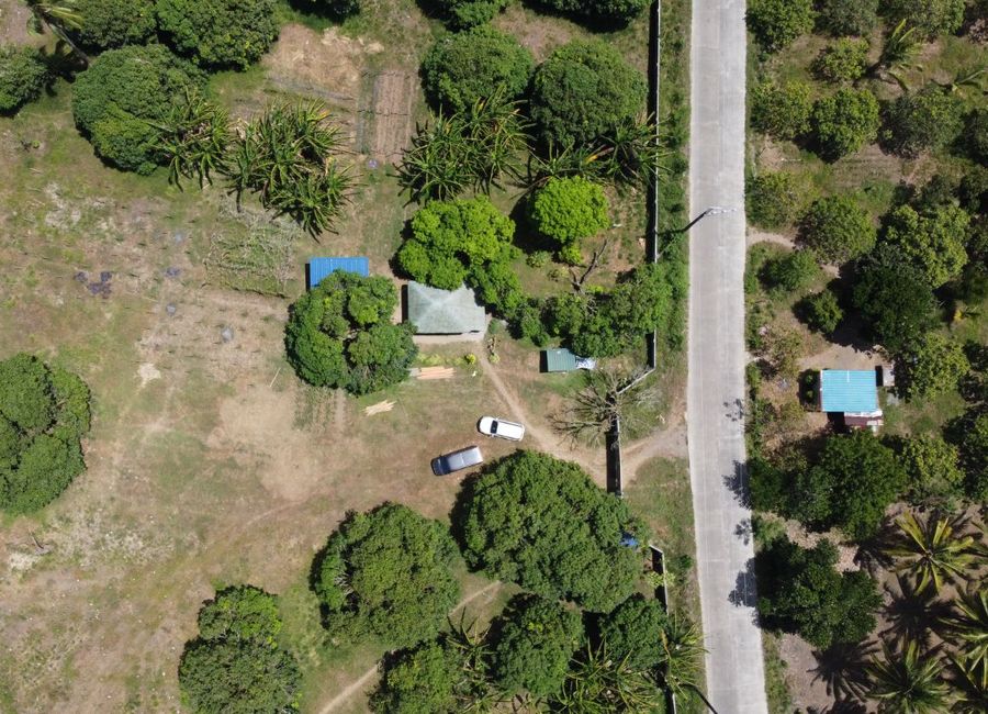 place photo 31