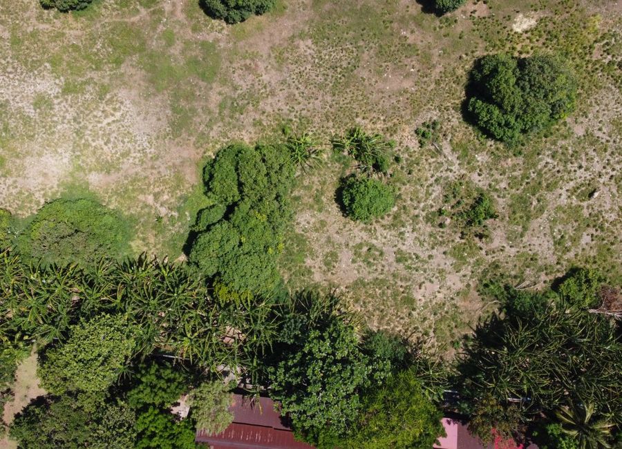 place photo 44