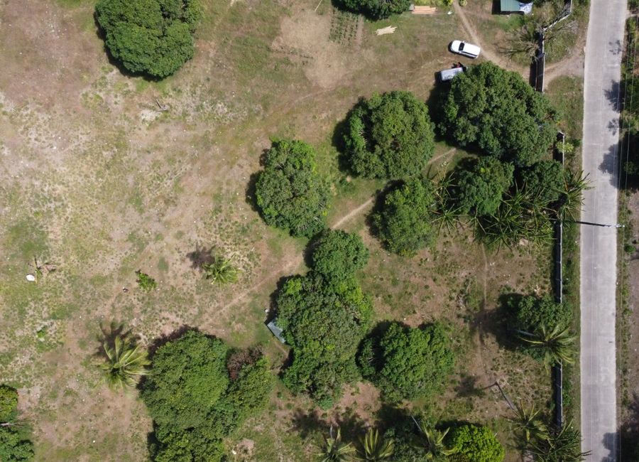 place photo 35