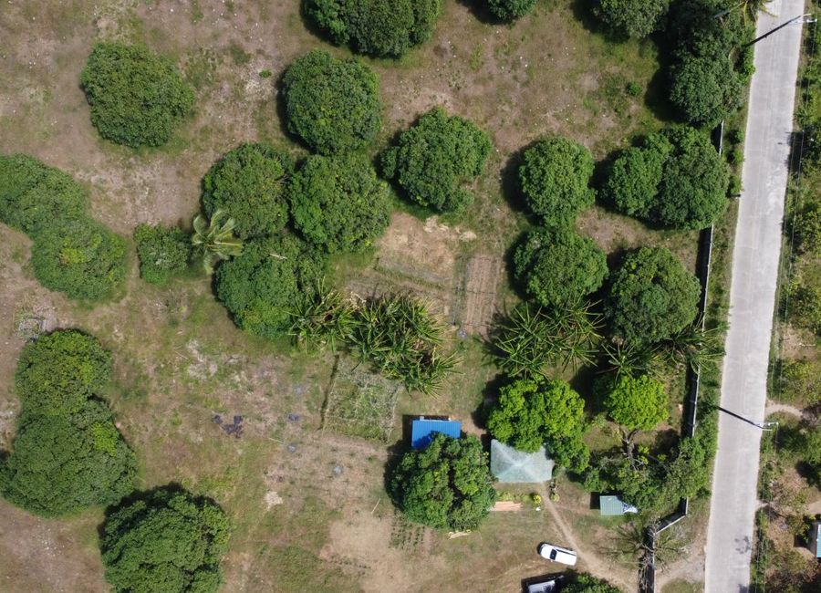 place photo 36