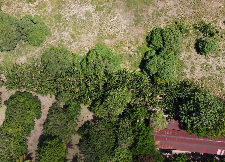 place photo 40