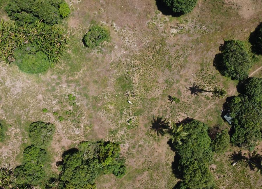 place photo 42