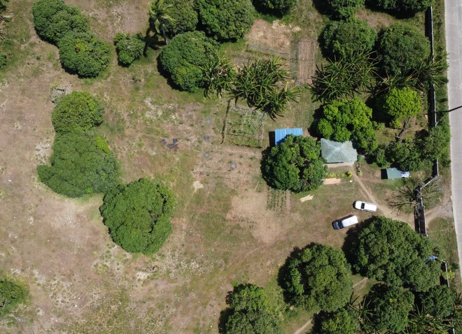 place photo 45